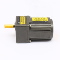 HF-MOTOR 6W Gear Motor with Gearbox